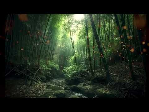 "10 Minutes meditation” Japanese Zen Music - Relaxing Music of Heart Sutra - Healing, Sleep