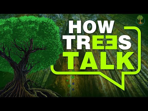 How Trees Talk