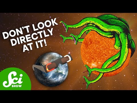 How Well Do You Know the Sun? | Compilation