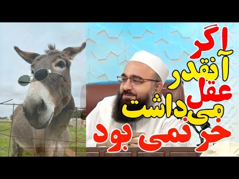 اگر آنقدر عقل میداشت خر نمیبود/ مولانا بهزاد فقهی #مولانا_بهزاد_فقهی #بیانات #اسلام #داستان #دعاء