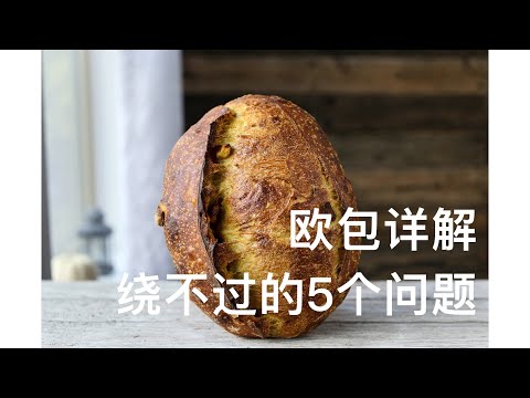 天然酵种面包,怎么做才不失败——绕不过的5大问题详解