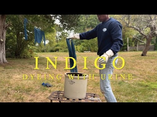 THE MAGIC OF DYEING CLOTH WITH INDIGO AND URINE: REVIVING AN ANCIENT TECHNIQUE! With Rajiv Surendra