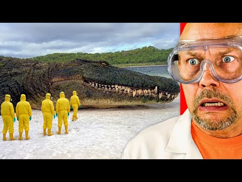 The Strangest Extinct Creatures Caught on Camera!