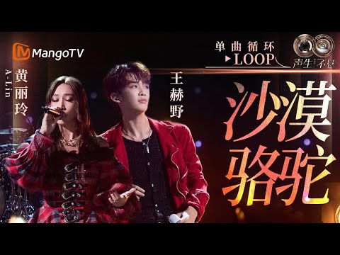 【声生不息循环不停】#黄丽玲A-Lin #王赫野 《沙漠骆驼》 一小时LOOP|《声生不息·华流季》Infinity And Beyond·Mandopop| MangoTV