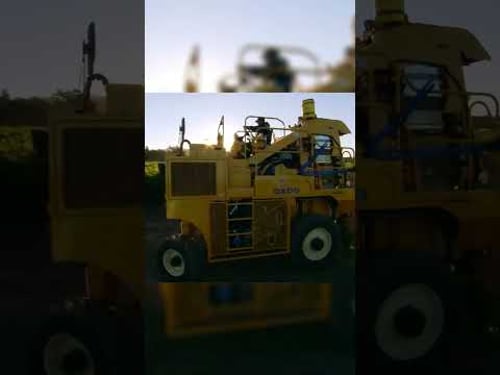 Grape Farming, Watch Full video in linked Video #modernagriculture #modernfarming #automobile#grape