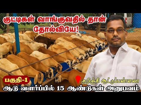 ஆட்டுப்பண்ணை இப்படி ஆரம்பித்தால் தோல்வியே வராது🔥 | goat farming #goat #farming #sheep