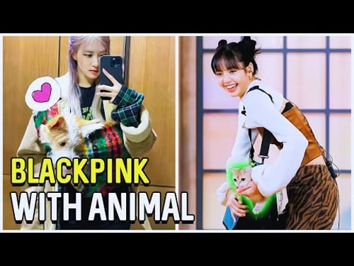 BLackpink With Animals Cute Moments