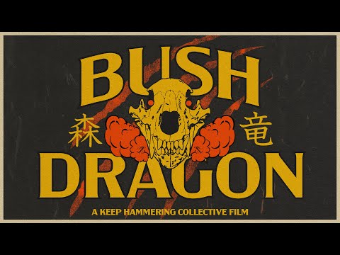 Bush Dragon