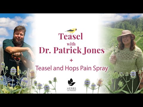 Teasel with Dr Patrick Jones + Teasel and Hops Pain Spray