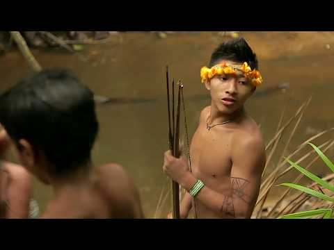 Indiens d’Amazonie : le dernier combat / Les voix de la jungle