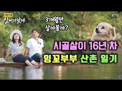 (Gangwon Gangneung/Episode 354) Came to rest for 3 months, Lovebird couple living in the mountain...