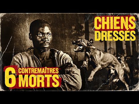 Le Dresseur de Saint-Domingue L’Esclave qui Utilisa des Chiens Dressés pour Abattre les Contremaître