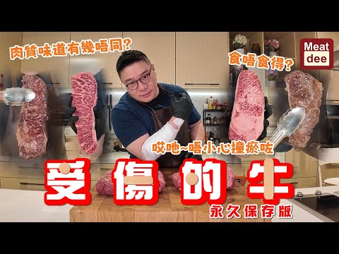 Dee'scovery Channel | 受傷的牛 永久保存版 | 哎吔~ 唔小心撞瘀咗 食唔食得?肉質味道有幾唔同?