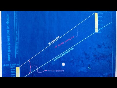 Video 4 - Gradient Factor Low (Based off Andy Davis’s Article)