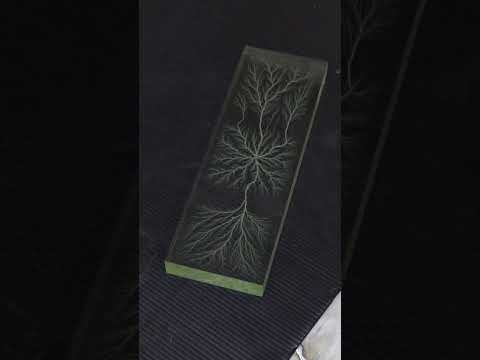 Catching Lightning in a Block of Acrylic #cool #wow #physicsexperiment #fractal #art #artwork