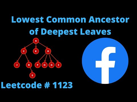 LOWEST COMMON ANCESTOR OF DEEPEST LEAVES | LEETCODE 1123 | PYTHON DFS SOLUTION