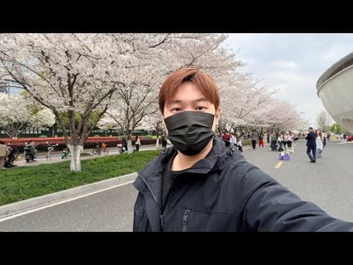 傷腦筋!我杭州家樓下怎麼變成這樣..|寒國人