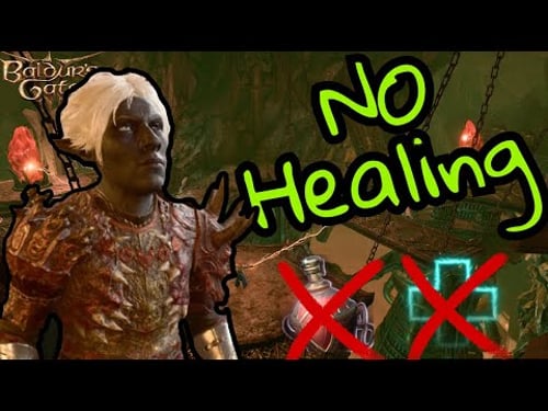 Can You Beat Baldur's Gate 3 Without HEALING?? (ACT 2)!!!