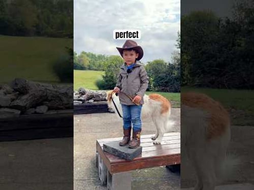 Good Training Works On Children & Puppies! #puppy #puppytraining #shorts