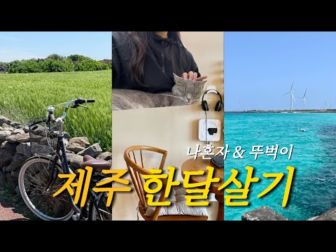 🌴 제주 한달살기 몰아보기 | 뚜벅이의 나혼자 제주도 여행 | 올레길걷기