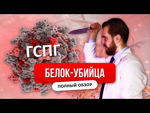 ВЫСОКИЙ ГСПГ, ХУДОБА И ПОЧЕМУ НЕТ ЛИБИДО, ВЛИЯНИЕ НА ТЕСТОСТЕРОН, Полный обзор: причины и лечение
