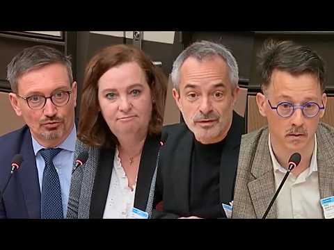 đȘ AUDITION DES REPRĂSENTANTS DE PARENTS D'ĂLĂVES