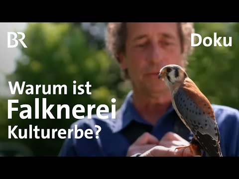 Morsen, Falknerei & Schmieden: Immaterielles und unsichtbares Kulturerbe | freizeit | Doku | BR