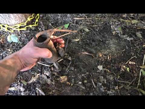 Dog Proof Raccoon Trap bait and setup