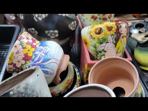 ♡다육소풍♡ 12월19일 라이브 방송♡♡♡마니 마니 놀려오셔요..