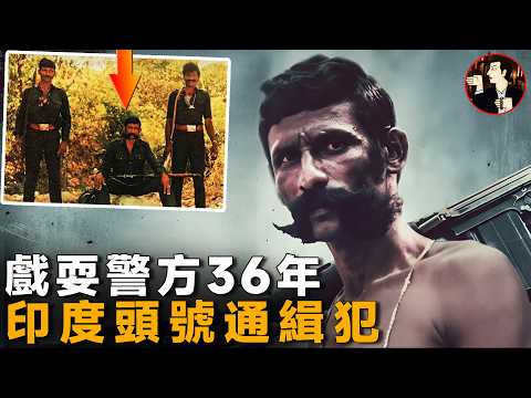 戲耍警方36年,印度史上規模最大最漫長追捕行動,印度頭號通緝犯-維拉潘 Veerappan