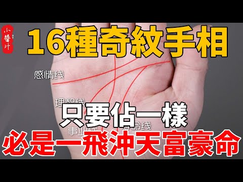 Very rare 16 kinds of odd pattern palm rare to see in ten years must be a soaring rich life!# Lif