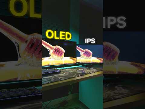 You NEED an OLED Monitor #pcgaming #tech