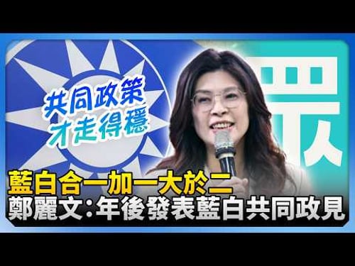 藍白合一加一大於二! 鄭麗文:年後發表藍白共同願景政見 @ChinaTimes