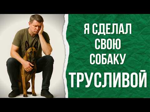 СТРАХ У СОБАКИ | Фобия, Тревога | Как убрать и что с этим делать?