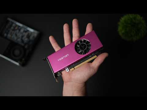 One Of The BEST Low Profile Single Slot Graphics Cards You Can Buy!