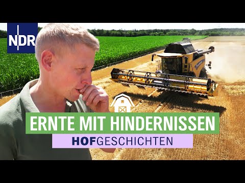 Es geht los: die Gerste wird gedroschen | Hofgeschichten: Leben auf'm Land (340)