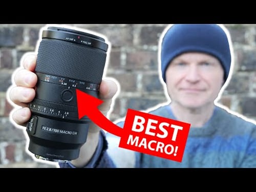 BEST MACRO LENS? Sony FE 100mm f2.8 MACRO GM review IN-DEPTH