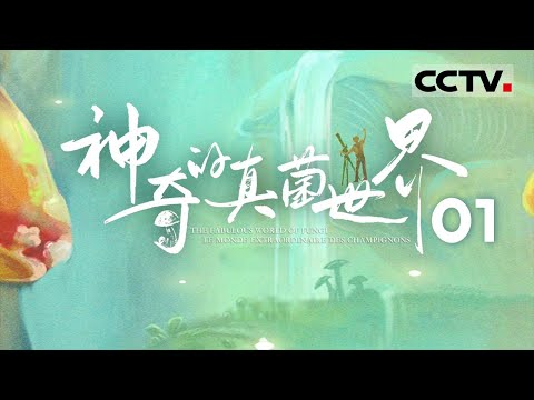 《神奇的真菌世界》01 开启一场神奇真菌之旅 这里有最全的百科图鉴!【CCTV纪录】