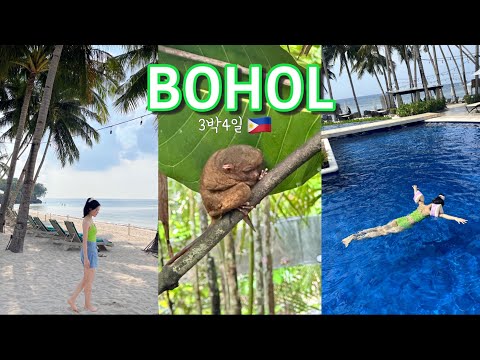 보홀여행2🇵🇭)세상에서 가장 작은 원숭이🐒 | 물 만난 물개들 | 보홀 맛집 추천 | 람보르기니 칵테일 | 육상투어