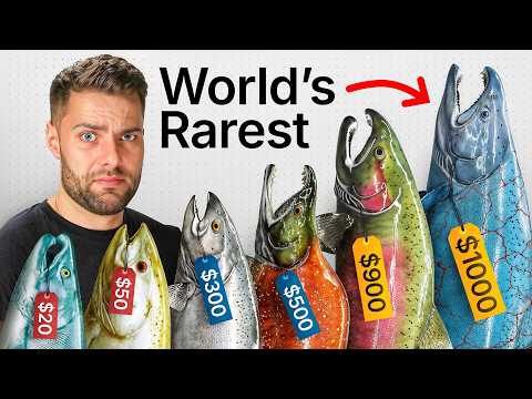 I Cooked Every EXOTIC Salmon