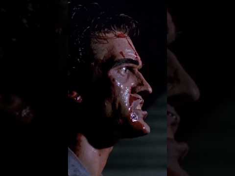 Why Everyone Loves Evil Dead 2 | #evildead #evildead #horror #comedy #ash