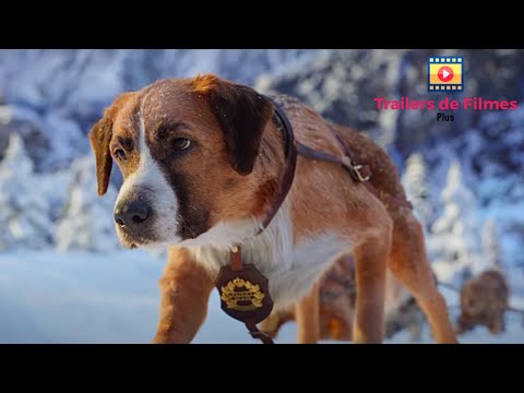 O Chamado da Floresta (2020) - Avalanche