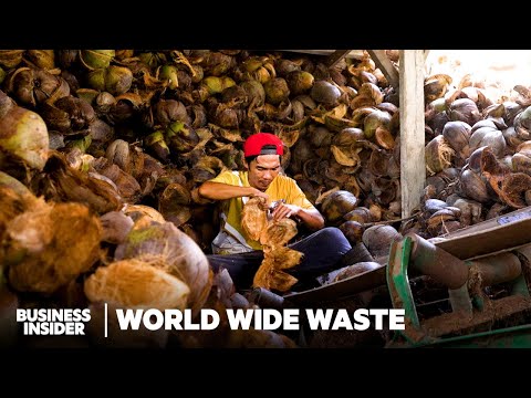 How Biodegradable Coolers Are Made Out Of Coconut Waste | World Wide Waste | Business Insider