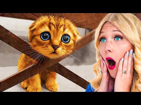 Worlds CUTEST Animals!