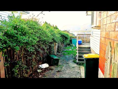 A Garden Restoration Beyond Your Wildest Dreams | Junkyard Transformation