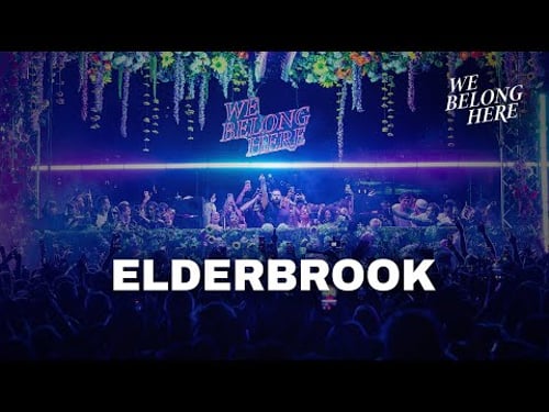 Elderbrook at the Greenpoint Waterfront for We Belong Here: Brooklyn 2025