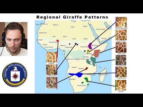 i took a (definitely not cia) test