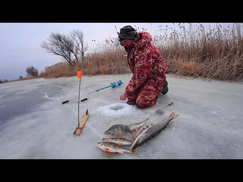 ПОМОГ ЛОШАДКАМ И ПТИЦ НАКОРМИЛ. Зимняя рыбалка на жерлицы. Щука на жерлицы
