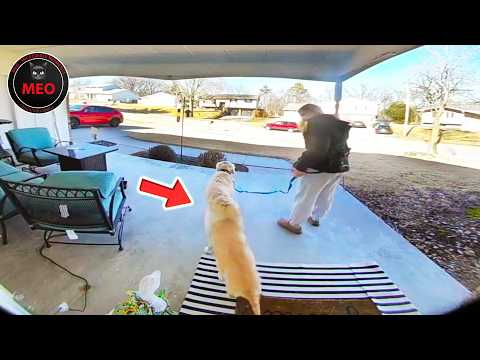 Incredible Moments | When Things Went Wrong (P95)