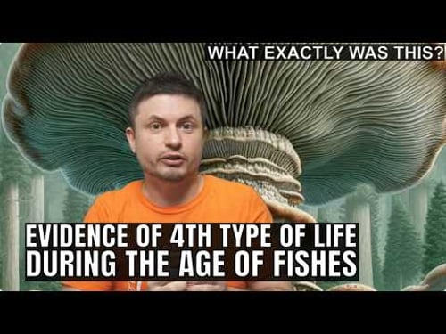 Evidence for the 4th Branch of Life That Went Extinct 400 Mln Years Ago